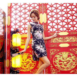Day Dream - Starfire Cheong Sam Style Chinese Costume Set (Multi Colour) | Zush.sg
