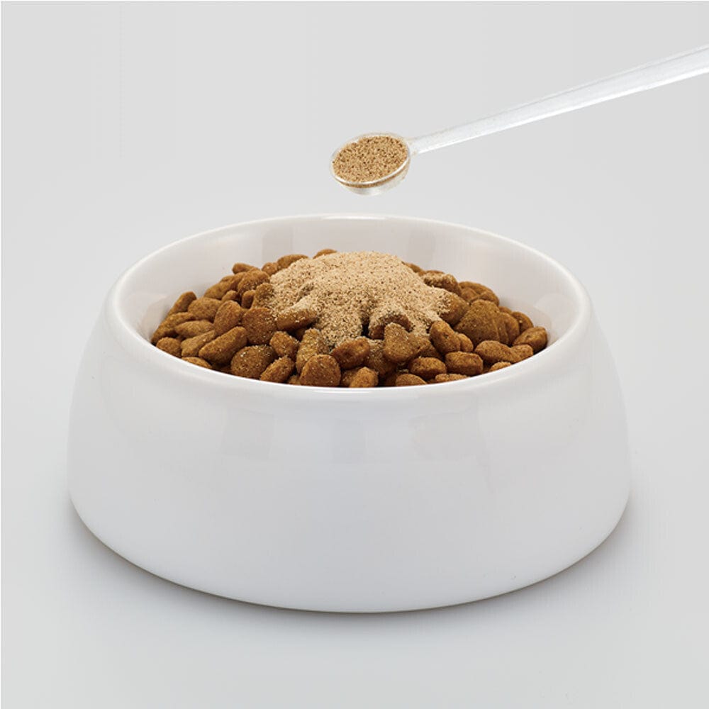 DHC - Intestinal Health and Immunity Health Food Supplement for Pet Cats Makenai 50g Pet Cat Supplements 4511413625101 CherryAffairs