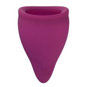 Fun Factory - Fun Cup Menstrual Cup Size B Kit (Grape/Ultramarine) | CherryAffairs Singapore