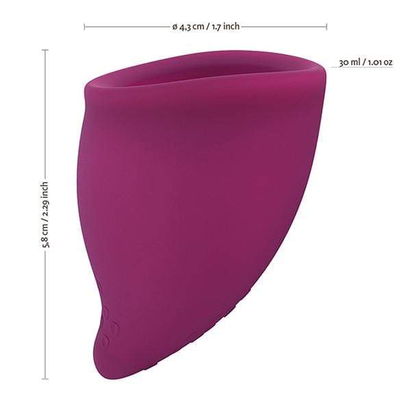 Fun Factory - Fun Cup Single Size B Menstrual Cup (Grape) Menstrual Cup 293467857 CherryAffairs