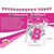 Hott Products -Bachelorette Party Diamond Banner (Pink) | Zush.sg