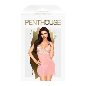 Penthouse - Bedtime Story Mini Dress with Thong Chemise L/XL (Light Pink) Chemises 4061504006185 CherryAffairs