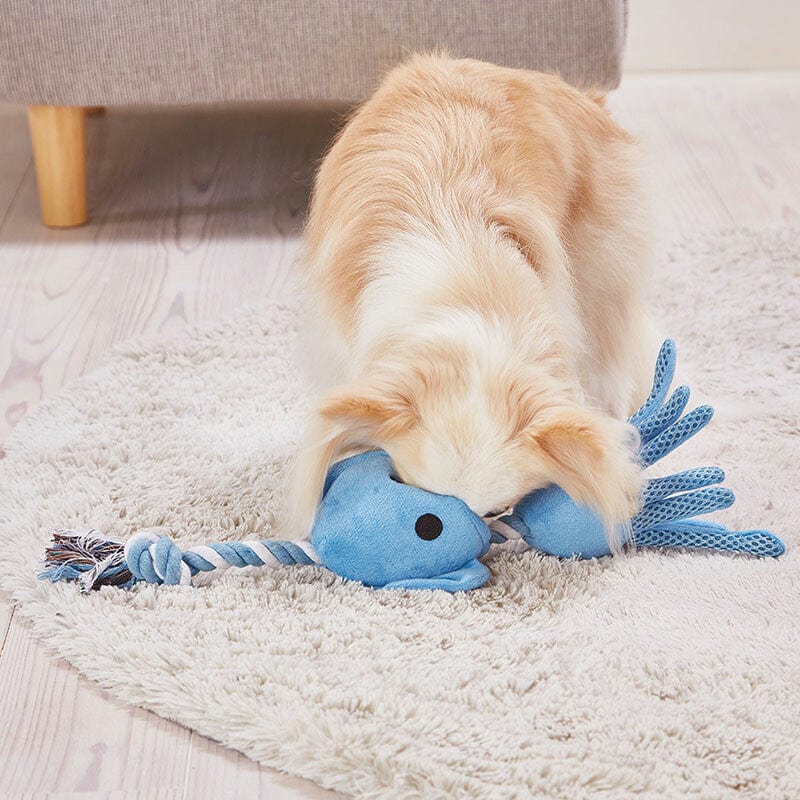Petio Admate - Sturdy Rope Dog Toy Squid (Blue) Dog Toys 4903588272158 CherryAffairs