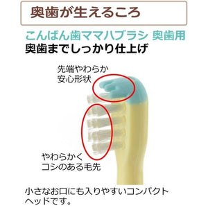 Richell - T.L.I Try Good Evening Tooth Mama Baby Toothbrush For Back Teeth (2 Pieces) Baby Toothbrush 4945680201148 CherryAffairs