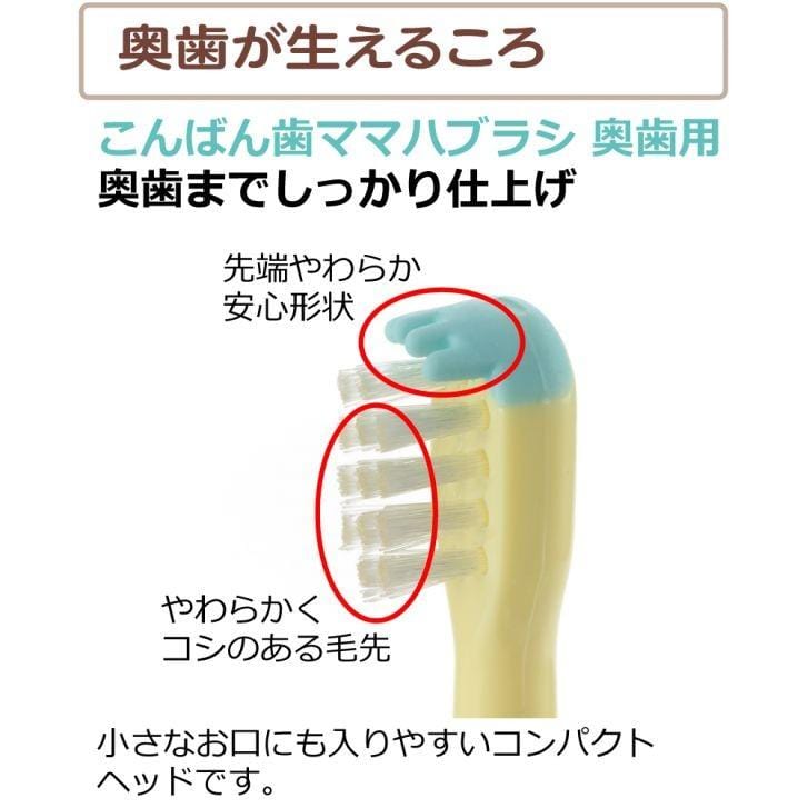 Richell - T.L.I Try Good Evening Tooth Mama Baby Toothbrush For Back Teeth (2 Pieces) Baby Toothbrush 4945680201148 CherryAffairs