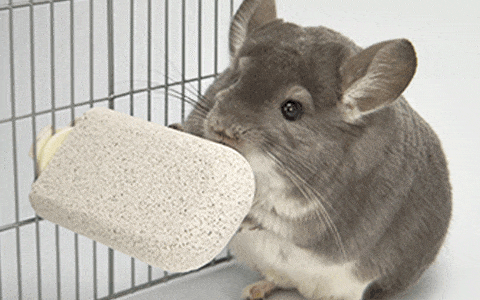 Sanko Shokai - J31 Nail Sharpening Stone Step for Small Animals (White) Pet Accessories 4976285193101 CherryAffairs